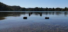 Laguna Pastahue - Chiloé, USD 1.00