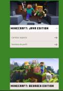 Minecraft Premium Account Mojang Official, USD 28.00