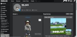 I am selling a roblox account with several limited accessories , USD 130.00