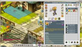 Vendo Cuenta Wakfu full Items Pro and Farm 175+, USD 200.00