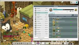 Vendo Cuenta Wakfu full Items Pro and Farm 175+, USD 200.00