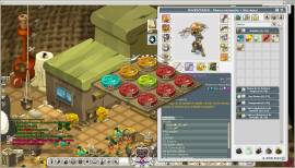 Vendo Cuenta Wakfu full Items Pro and Farm 175+, USD 200.00