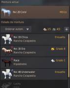 Steam account witch 65 , guardian 63 , shai 62 and other 15 pj, USD 1,300.00