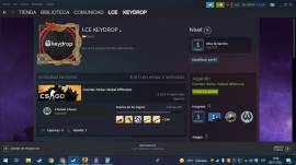 VENDO CUENTA DE CSGO +2500 H CON MAS JUEGOS COMO EL 2K20... , € 60.00