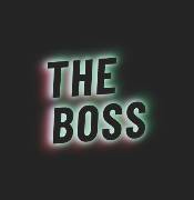 Vendo logo THE BOSS, € 2.00