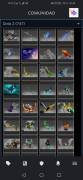 For sale Dota 2 account with immortals, character, music, cursors, USD 250.00