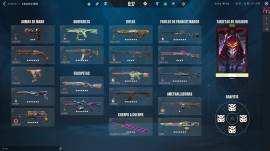 VALORANT ACCOUNT WITH HIGH LEVEL, EXCLUSIVE SKINS AND +15 PASSES, USD 800.00