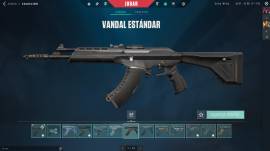 VALORANT ACCOUNT WITH HIGH LEVEL, EXCLUSIVE SKINS AND +15 PASSES, USD 870.00